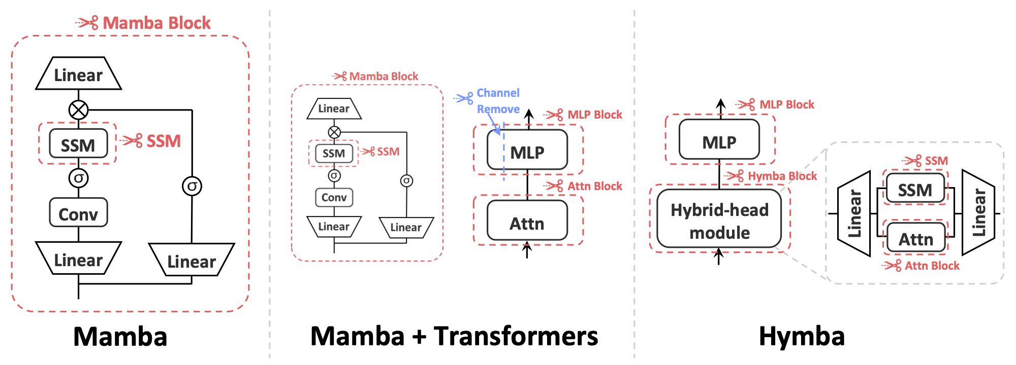 Mamba-Shedder